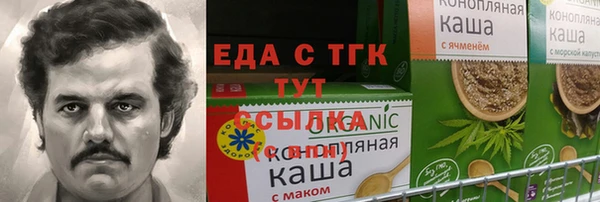 индика Алексин