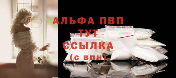 индика Алексин