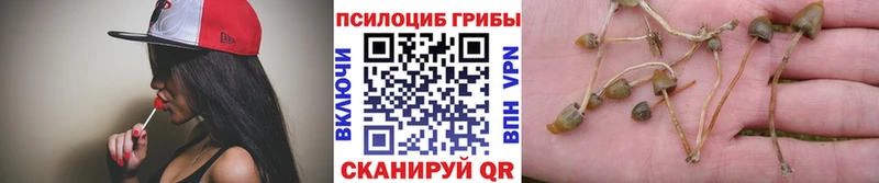 Галлюциногенные грибы мухоморы что такое Кропоткин