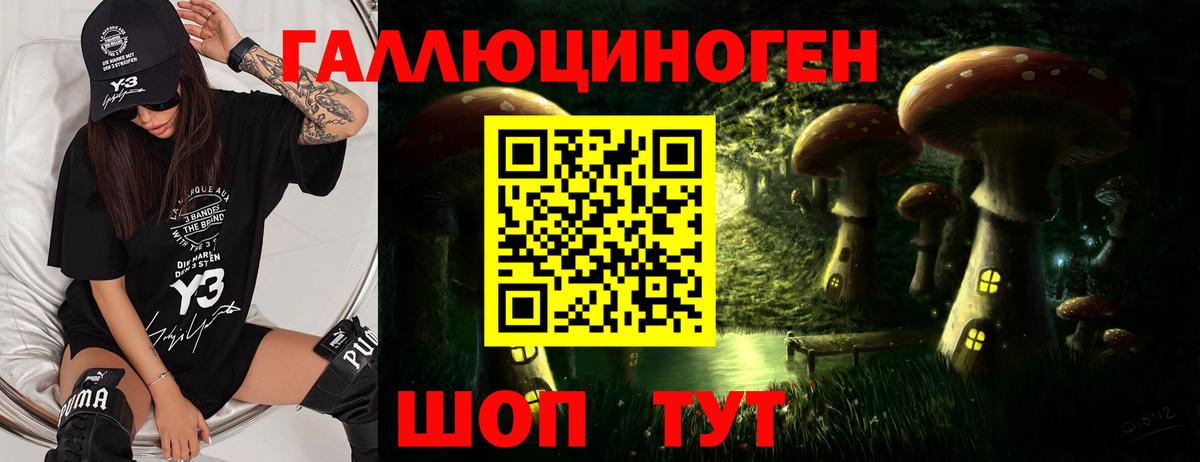 Кропоткин  Псилоцибиновые грибы GOLDEN TEACHER  Вход с VPN 